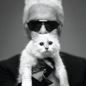 Fakta Tentang Kucing Karl Lagerfeld yang Sangat Cantik, Choupette