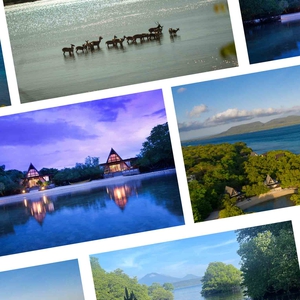 8 Hal Menarik Tentang Plataran Menjangan