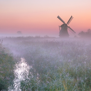 Belanda Jadi Tempat Dave Hendrik Menemukan Proses Penerimaan yang Menghangatkan Dirinya