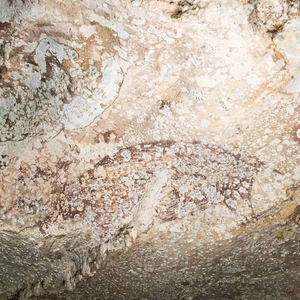 Lukisan Tertua di Dunia Ada di Sulawesi, Bukan Eropa