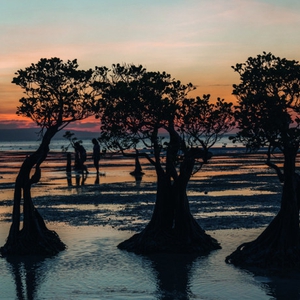 Cerita Tentang Sumba: Hidden Gem Indonesia dari Nusa Tenggara Timur