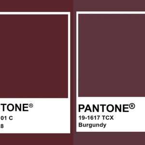 Burgundy dan Maroon? Kenali Perbedaannya!