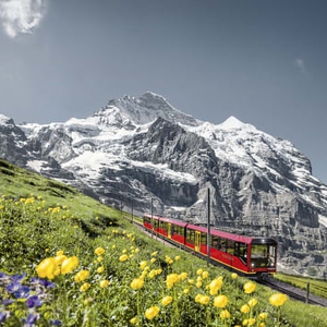 13 Kegiatan Liburan di Swiss Ini Wajib Masuk Agenda Perjalanan Anda