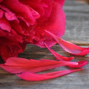 Kenali Gejala Menopause Dini