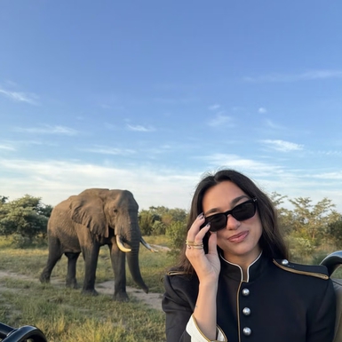 Dua Lipa Tampilkan Gaya Safari yang Tak Biasa