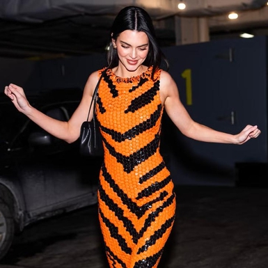 Tren Terkini dengan Motif Macan Tutul dilengkapi Gaun Chanel Berpiksel