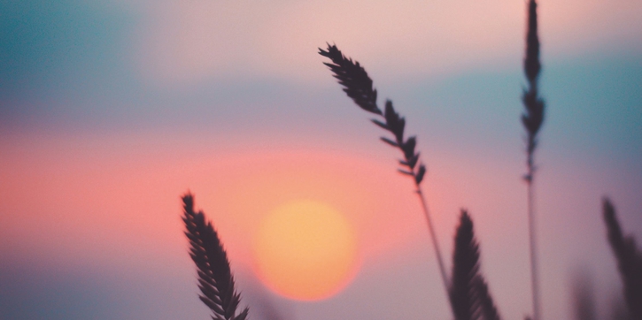 Memaknai Slow Living di Tengah Kilatnya Kehidupan