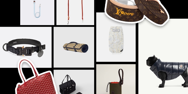 10 Aksesori Hewan Peliharaan dari Luxury Brand