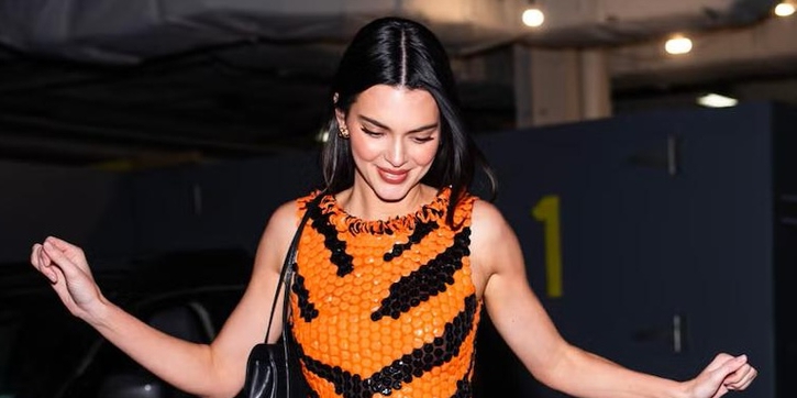 Tren Terkini dengan Motif Macan Tutul dilengkapi Gaun Chanel Berpiksel