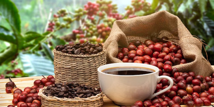 7 Kopi Terenak di Indonesia yang Wajib Dicoba dengan Rasa Asli Nusantara