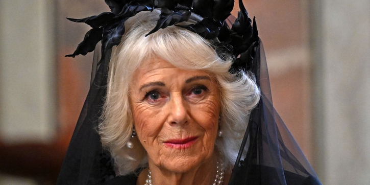 Ratu Camilla Kenakan Kerudung Bermotif Daun Saat Bertemu Paus Leo XIV 