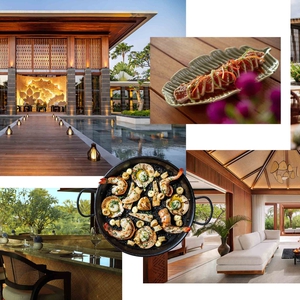 8 Hal Menarik Tentang Regent Bali Canggu