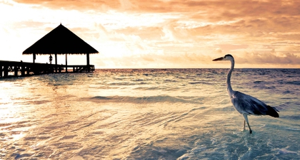 KUBA, DESTINASI PETUALANG SEJATI