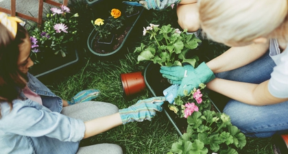 Mengenal Manfaat Terapi Berkebun