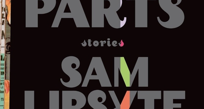 Weekend Read: The Fun Parts: Stories