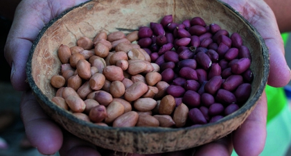 Warisan Kuliner Pulau Halmahera