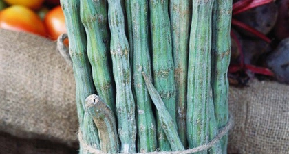 Apakah Ini Pengganti Sayur Kale?