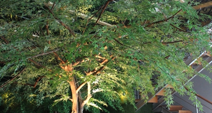 Hotspot: Stark Bierhause