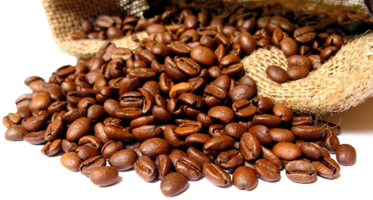 Singkirkan Selulit dengan Biji Kopi