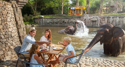 5 Aktivitas Seru di Bali Zoo