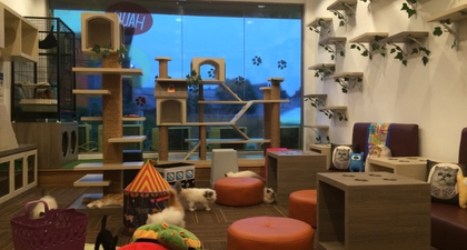 Hot Spot: Kafe Kucing di Jakarta