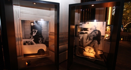 Eksplorasi Elegansi Fotografi