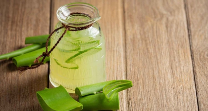 Manfaat Lidah Buaya untuk Kecantikan yang Jarang Diketahui, Tapi Terbukti Ampuh