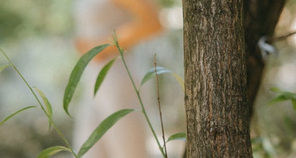 Mudah dan Sederhana, Ini Manfaat Jalan Pagi untuk Kecantikan Wajah