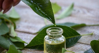 Manfaat Tea Tree Oil untuk Wajah yang Wajib Diketahui