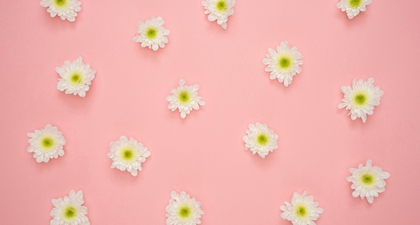 10 Jenis Bunga Untuk Rayakan Valentine Selain Mawar