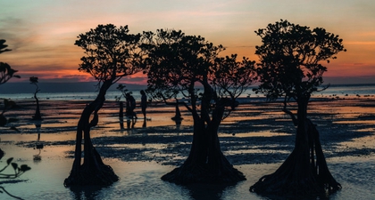 Cerita Tentang Sumba: Hidden Gem Indonesia dari Nusa Tenggara Timur