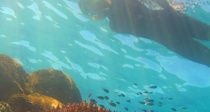 Destinasi Liburan Musim Panas