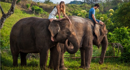 Paket Liburan All In One Dari Bali Zoo