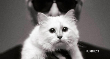 15 Quotes Karl Lagerfeld yang Paling Mengesankan