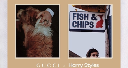 Harry Styles Bintangi Kampanye Terbaru Gucci