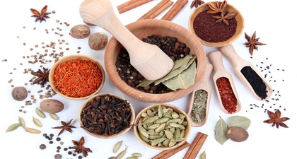 6 Tanaman Herbal untuk Meningkatkan Daya Tahan Tubuh