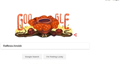 Rafflesia Arnoldii Jadi Google Doodle, Apa Alasannya?