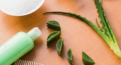Apakah Lidah Buaya Bisa Memanjangkan Rambut? Ini Paparannya
