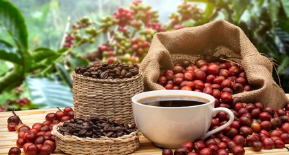 7 Kopi Terenak di Indonesia yang Wajib Dicoba dengan Rasa Asli Nusantara