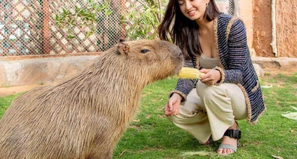Raline Shah Menghabiskan Waktu di Kebun Binatang Eksklusif Fame Park Dubai Bersama Hewan Eksotis