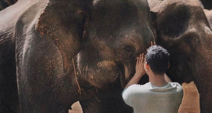 Tangkahan: Tempat Ekowisata di Indonesia Bagi Pencinta Gajah